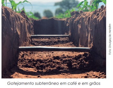 Irrigação dá salto: de supérflua a essencial no paisagismo; e de apoio a um dos pilares do agronegócio